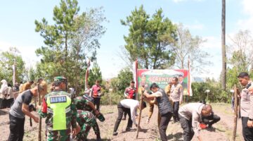 Polres bener meriah dan Forkopimda  gelar penayangan jagung serentak di desa Wonosobo