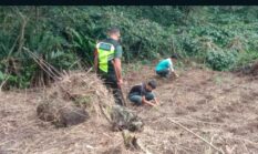 berita-pilihan-foto
