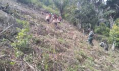 berita-pilihan-foto