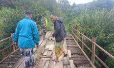 berita-pilihan-foto